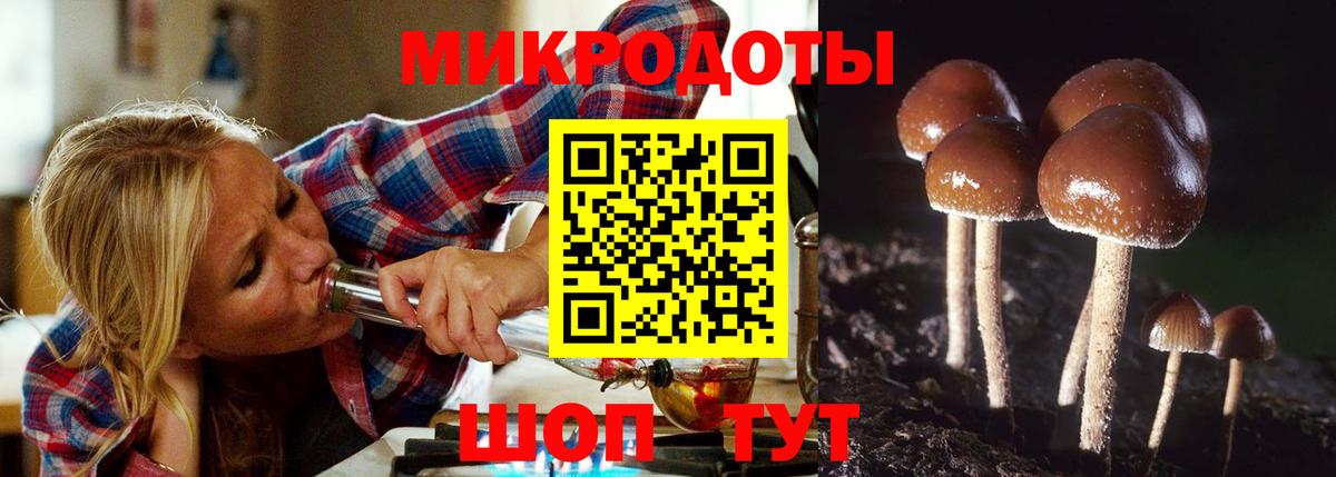 Галлюциногенные грибы мицелий Родники