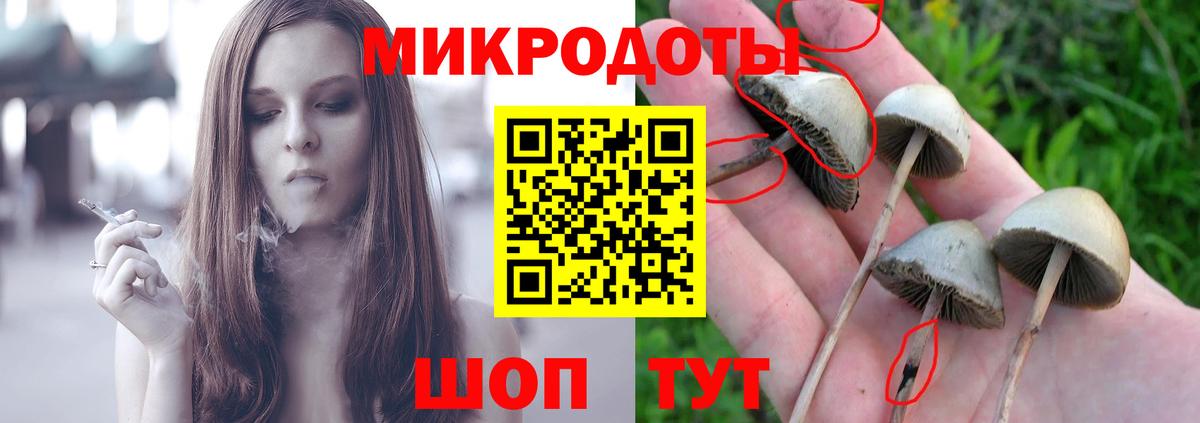 Родники  Псилоцибиновые грибы Magic Shrooms  Вход с VPN  купить   Псилоцибиновые грибы Psilocybine cubensis 